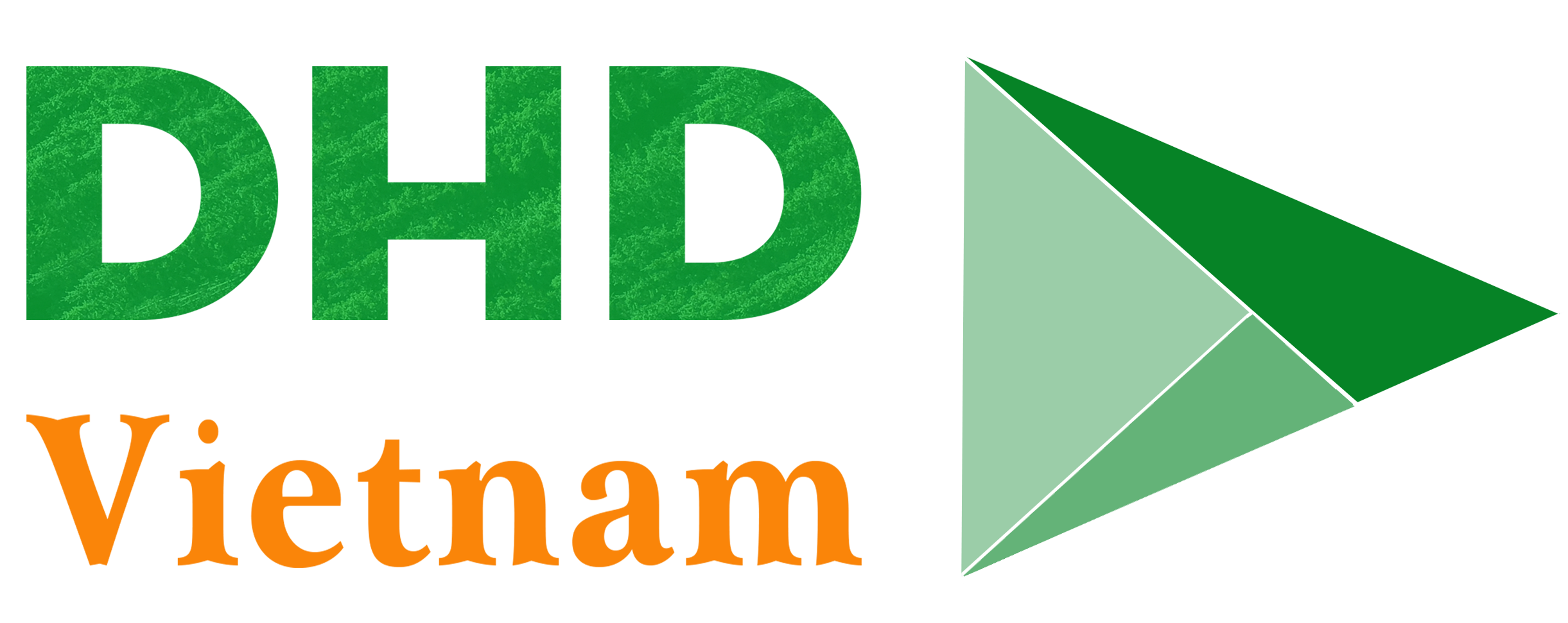 Logo DHD Việt Nam